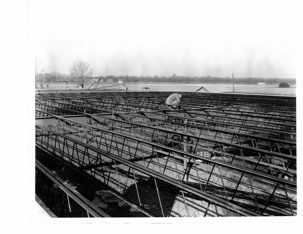 Macuch Steel Employee installing structural steel at a job in the 1950s